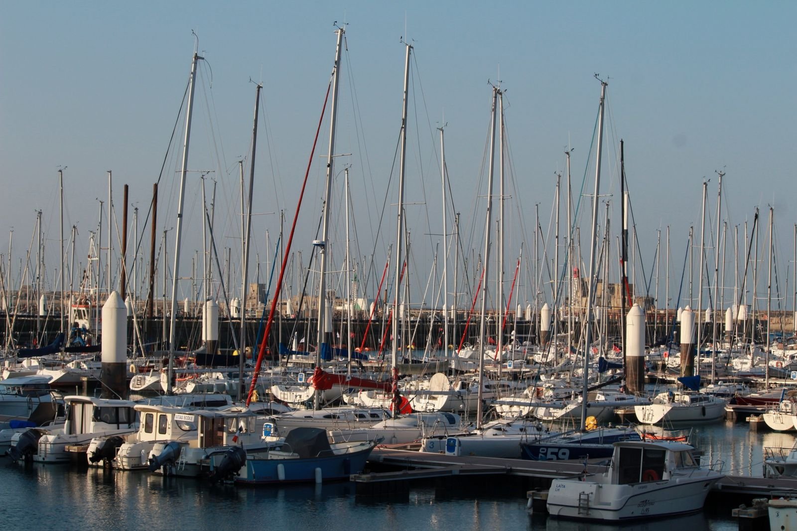Voiliers amarrés dans le bassin de plaisance du Havre, immeubles du front de mer à l'arrière-plan.