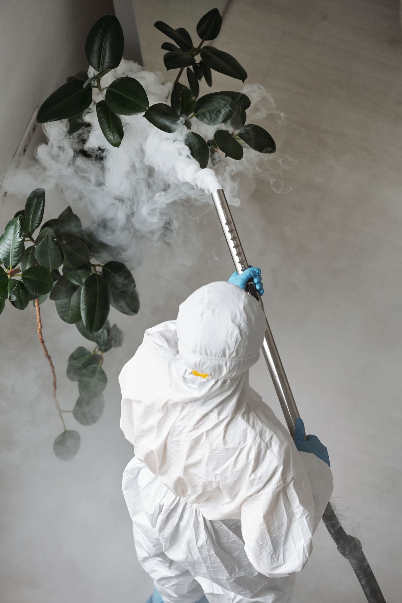 Traitement des nuisibles par nébulisation Intervenant en combinaison intégrale et gants, lance de nébulisation à la main, diffusant un traitement dans une pièce.